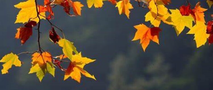 曾经🎤V娱热点