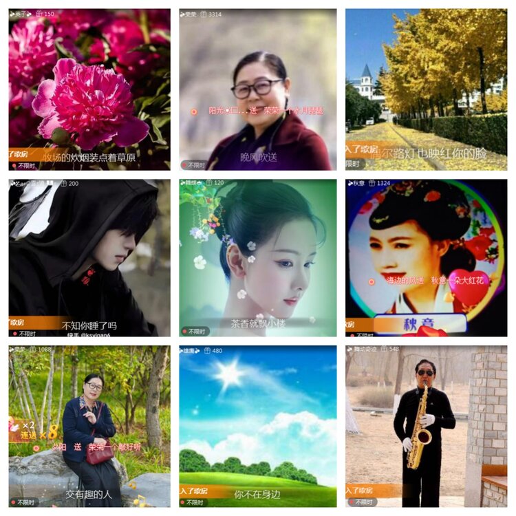 海燕🎤V娱热点