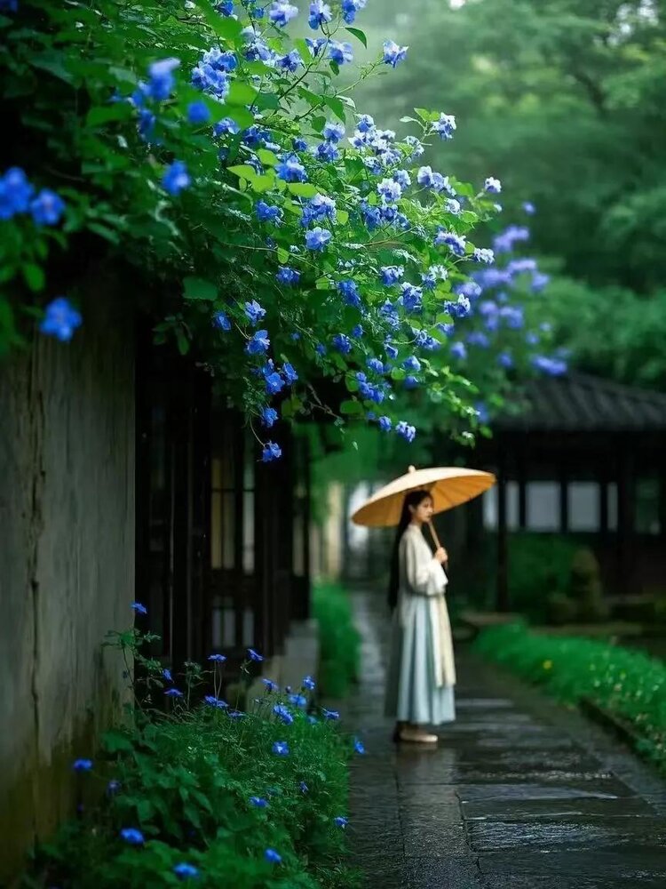 小浅🎤V娱热点