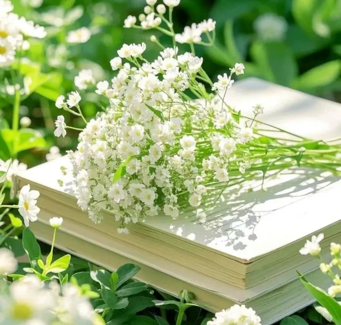 小浅🎤V娱热点