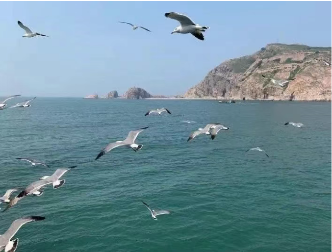 小浅🎤V娱热点