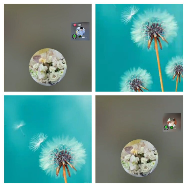 风景🎤V娱热点