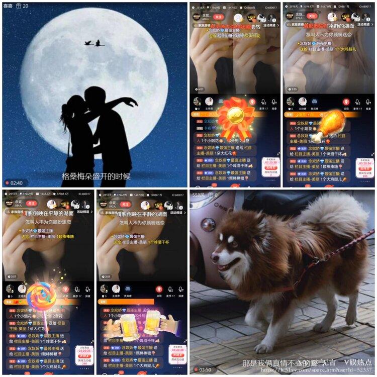 无言🎤V娱热点