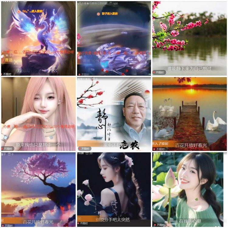 思点🎤V娱热点