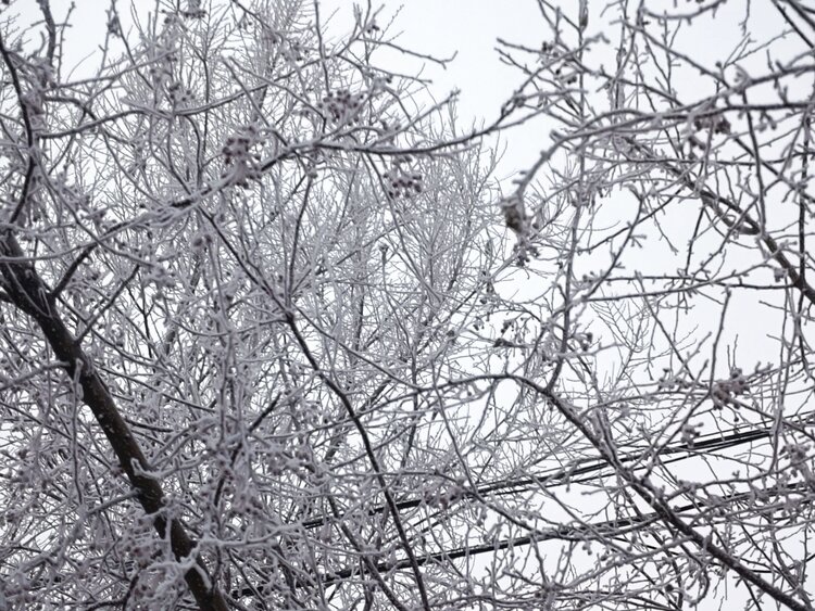 雪儿🎤V娱热点