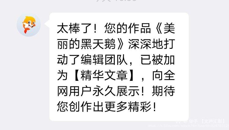 华子 【文声汇影】