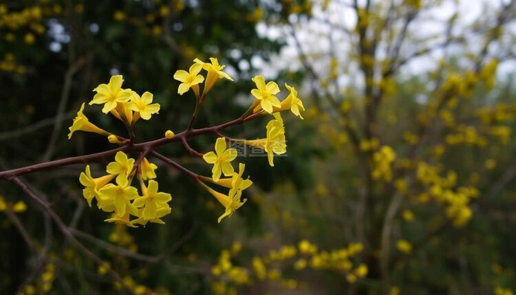 小浅🎤V娱热点