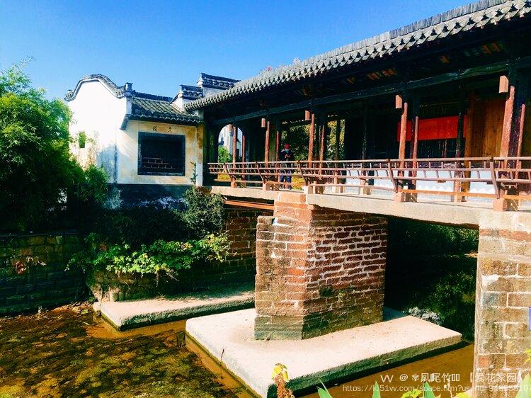 ✾凤ོ尾竹ꦿ࿐ 【爱花家园】