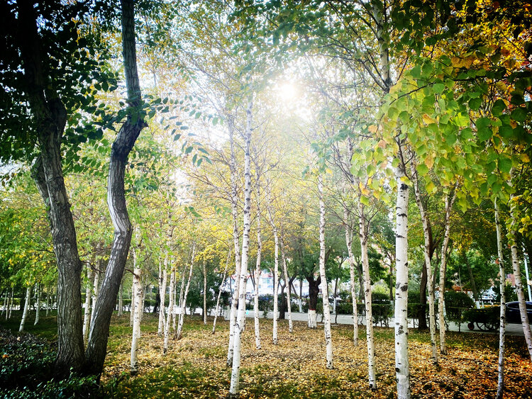 雪儿🎤V娱热点