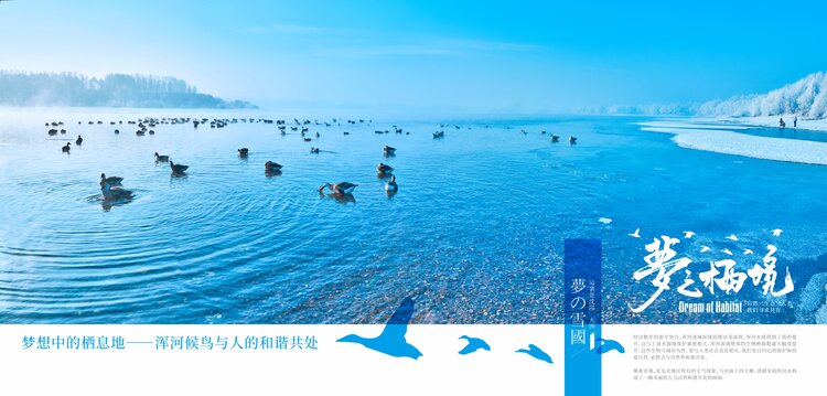 大洲🌞