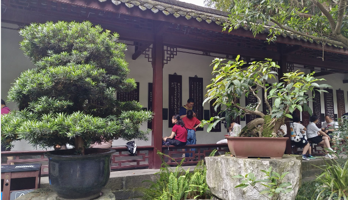 雪儿🎤V娱热点