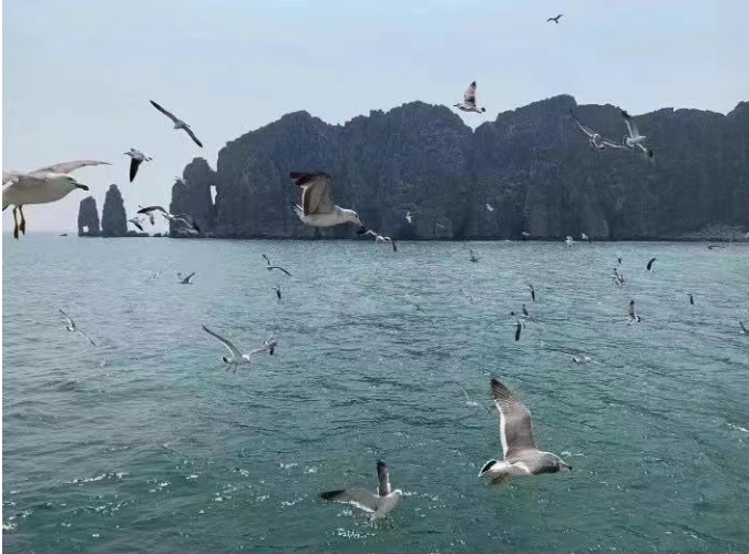 小浅🎤V娱热点