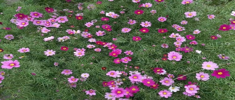 曾经🎤V娱热点