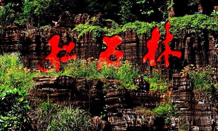 道法自然
