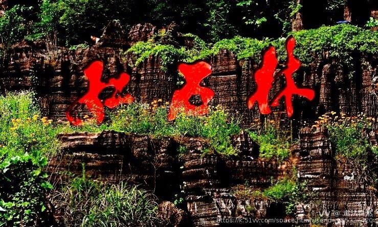 道法自然