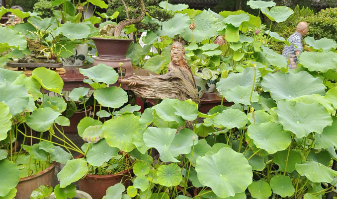 雪儿🎤V娱热点