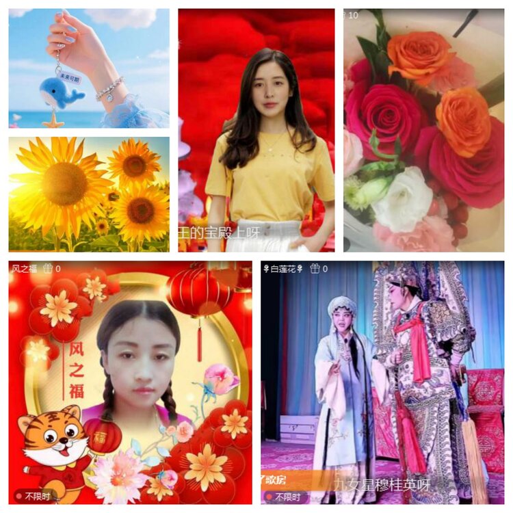 海燕🎤V娱热点