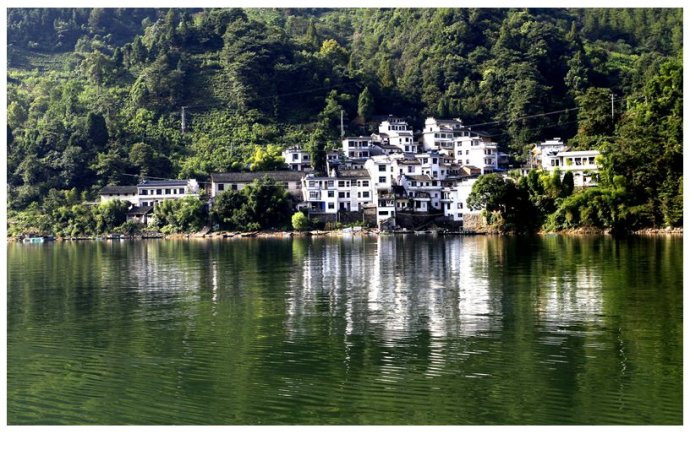 西窗风采61百花园合辑第251集首发