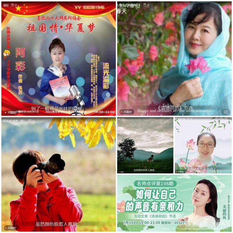 无言🎤V娱热点