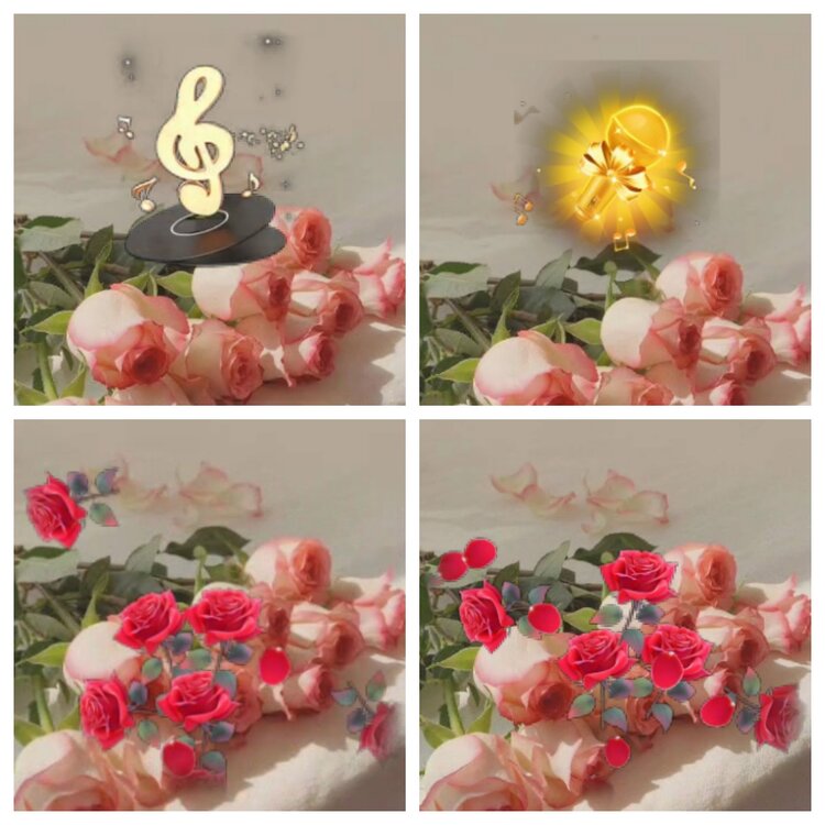 心玫🎤V娱热点