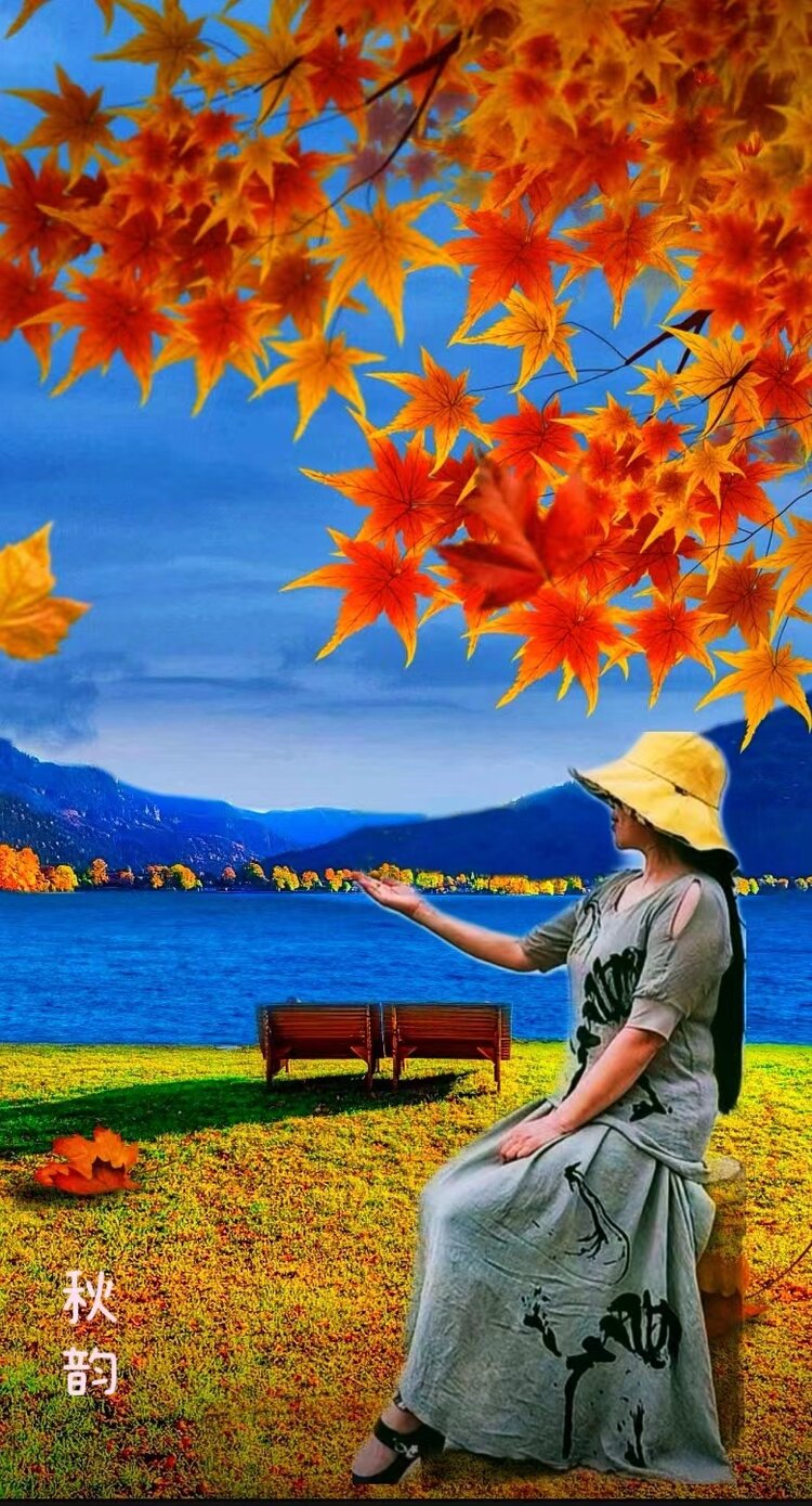 看庭前花开花落