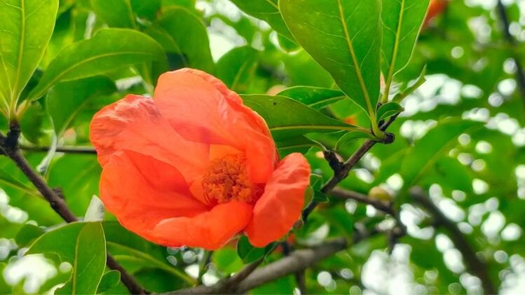 小浅🎤V娱热点