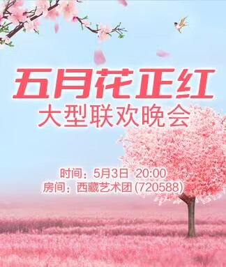 淡然🎤V娱热点