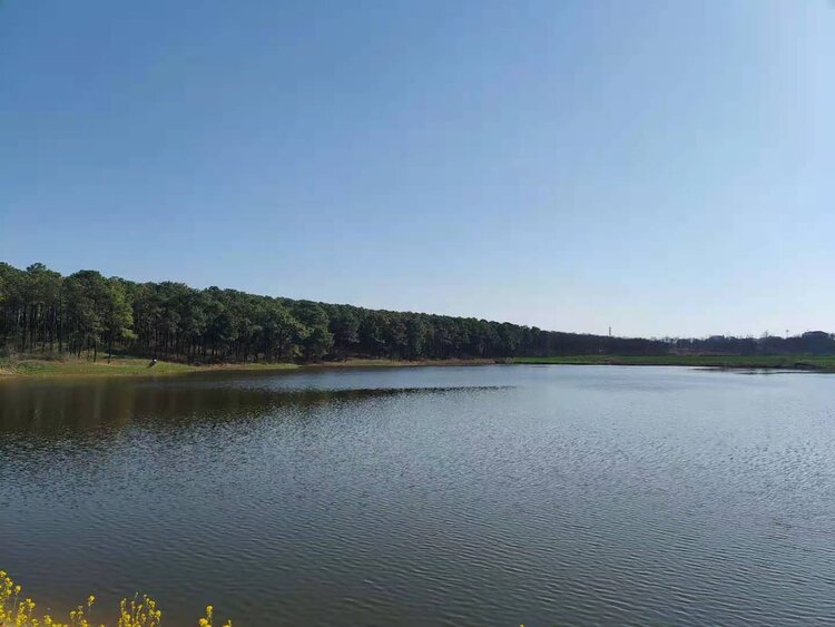 我的家乡高庄官沟水库大道2月21号