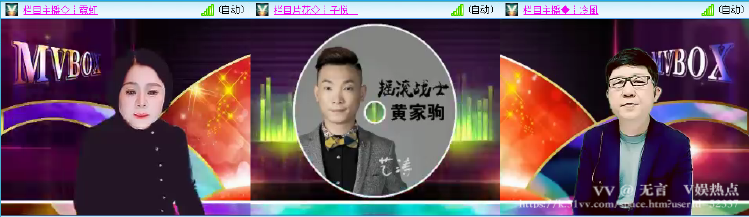 无言🎤V娱热点