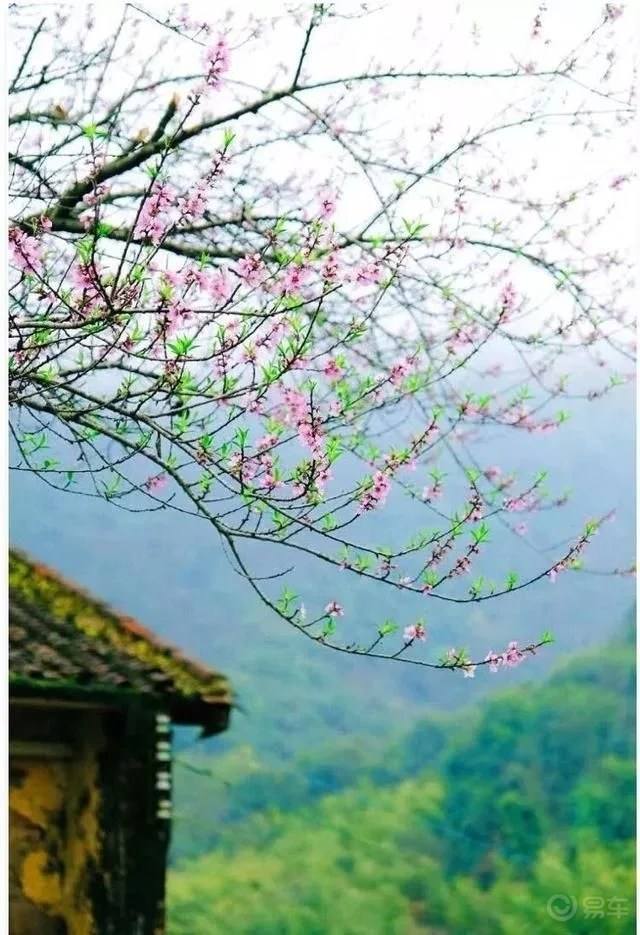 阙连秋