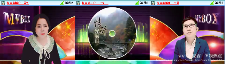 无言🎤V娱热点