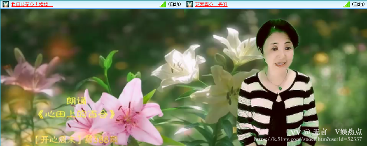 无言🎤V娱热点