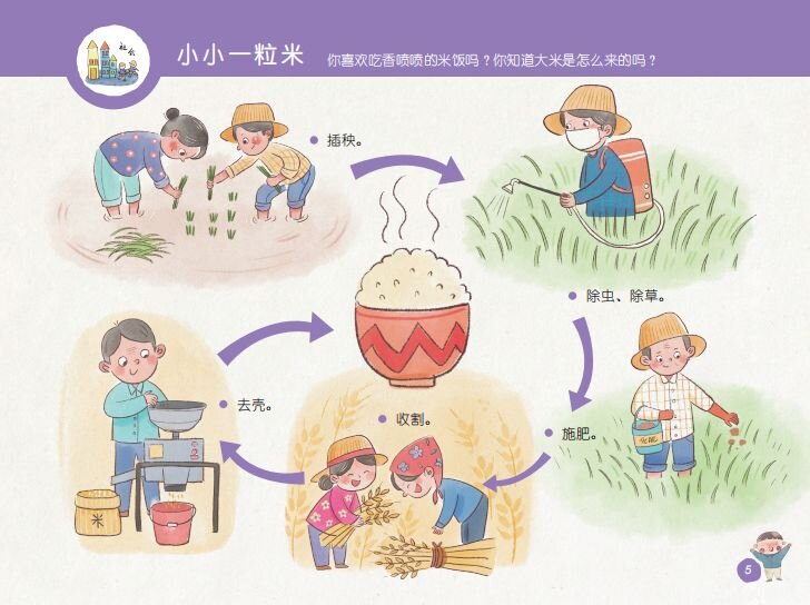 一粒米的成长过程绘画图片