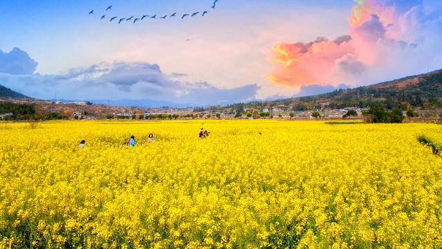 小浅🎤V娱热点