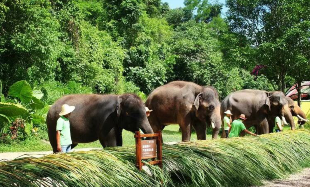 雪儿🎤V娱热点