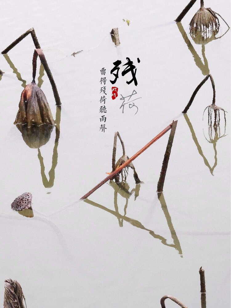 玩遍中国