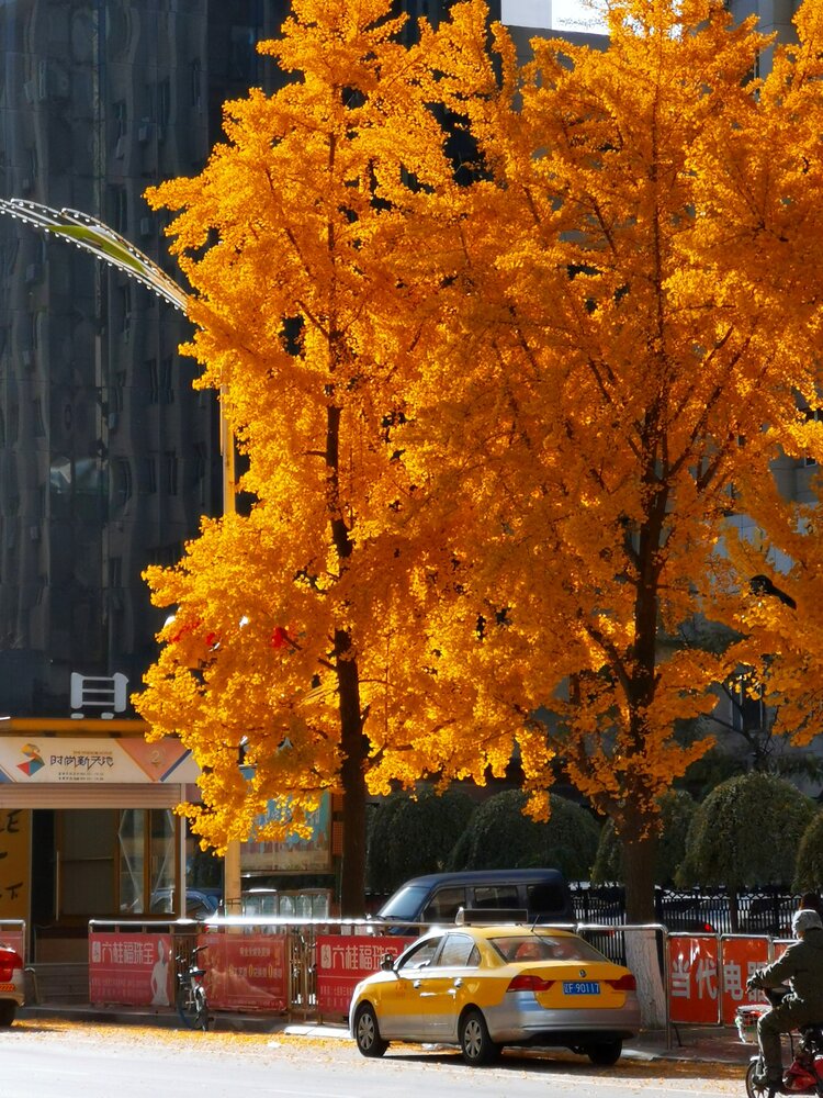 克城【文声汇影】