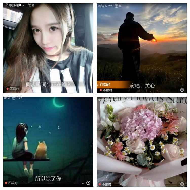 心玫🎤V娱热点