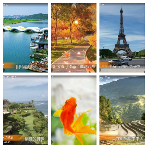 芯薇🎤V娱热点