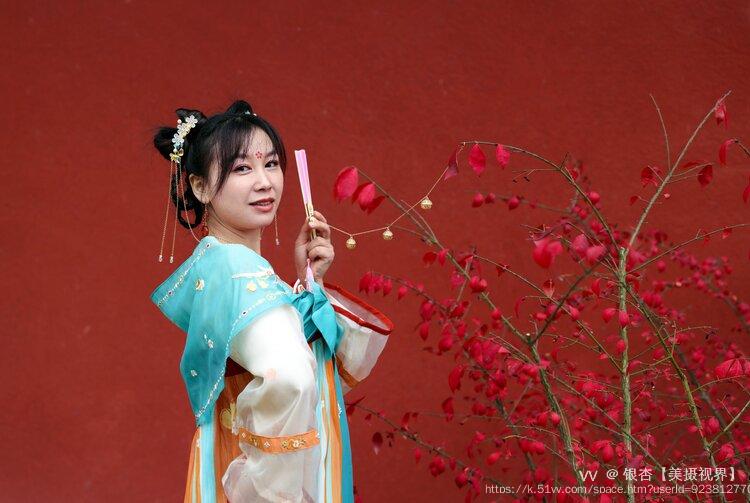 银杏【美摄视界】