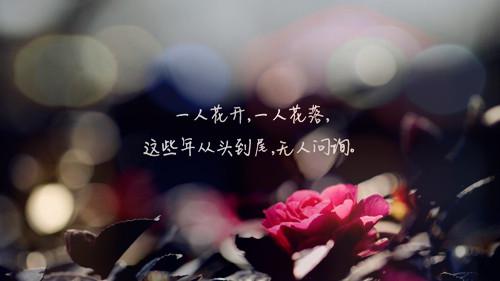 【儒韵】欲晓