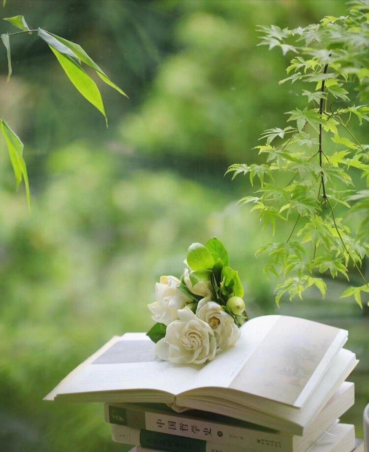 小浅🎤V娱热点