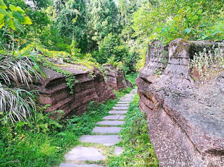 道法自然