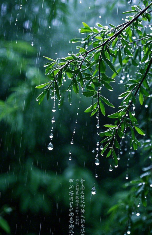 雪儿🎤V娱热点