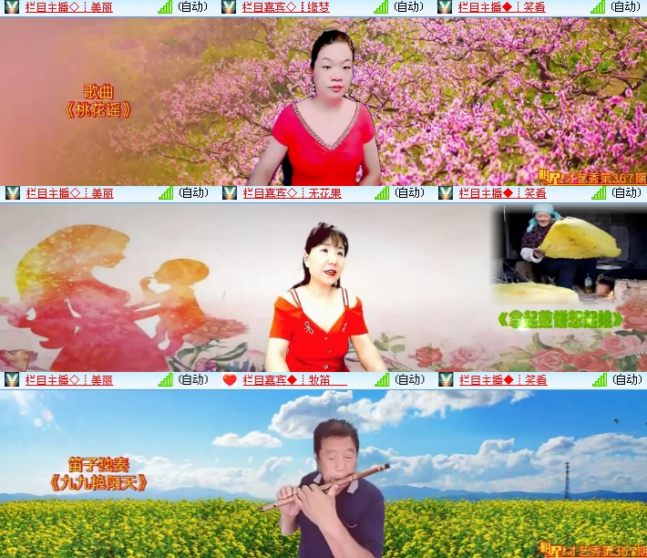 海燕🎤V娱热点