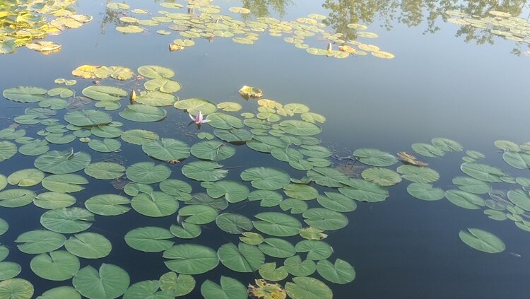 雪儿🎤V娱热点