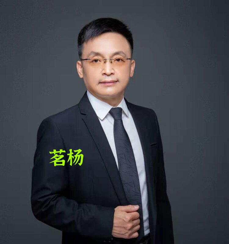 诗入人心（金花）