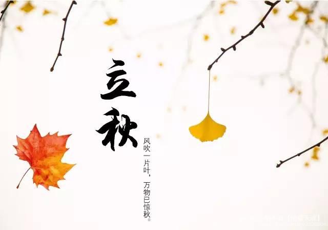 云胡不喜【情暖天涯】 