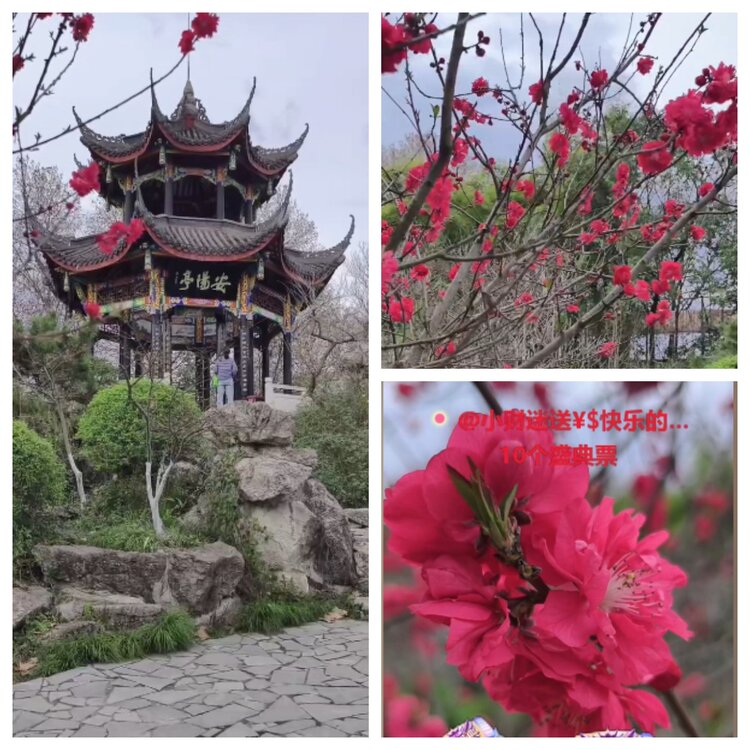 云中云🎤V娱热点