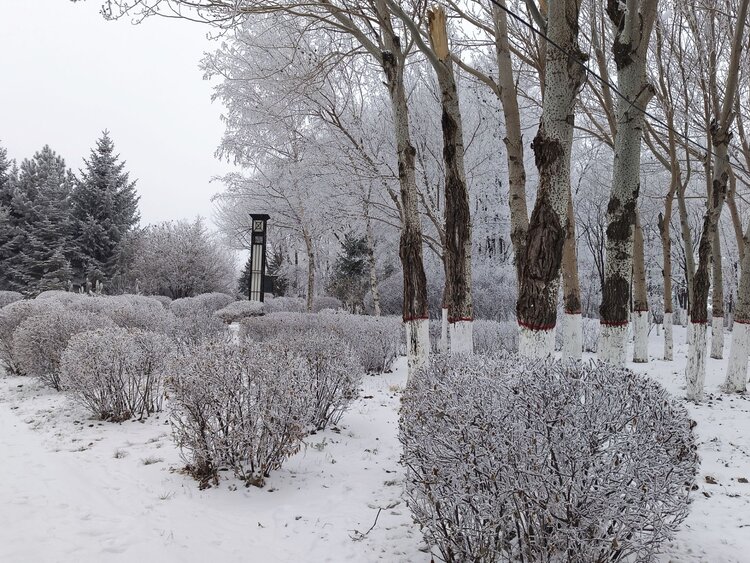 雪儿🎤V娱热点